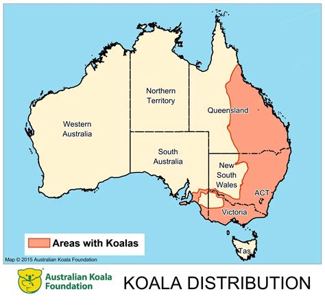 Where Are Koalas Mostly Found