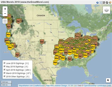 Where Are Morels Located