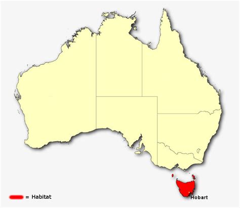 where are tasmanian devils located