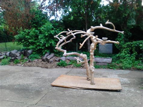 Where Can I Buy Java Wood