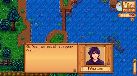 where can i find sebastian stardew valley