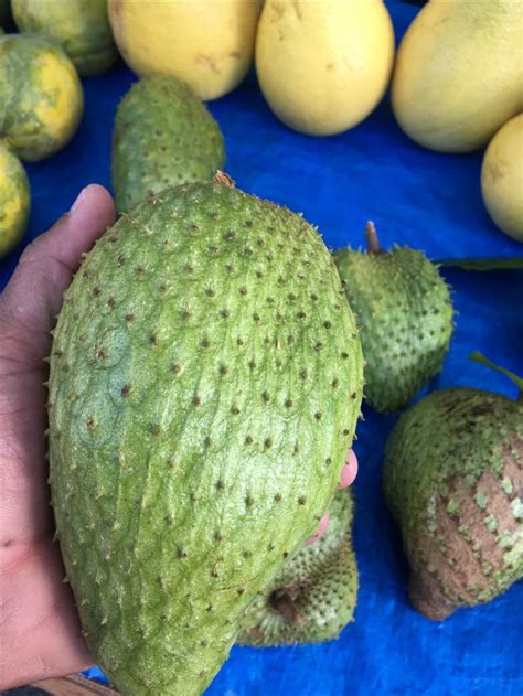 where can i purchase soursop