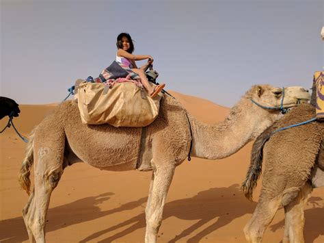 where can i ride a camel