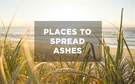 where can i spread ashes