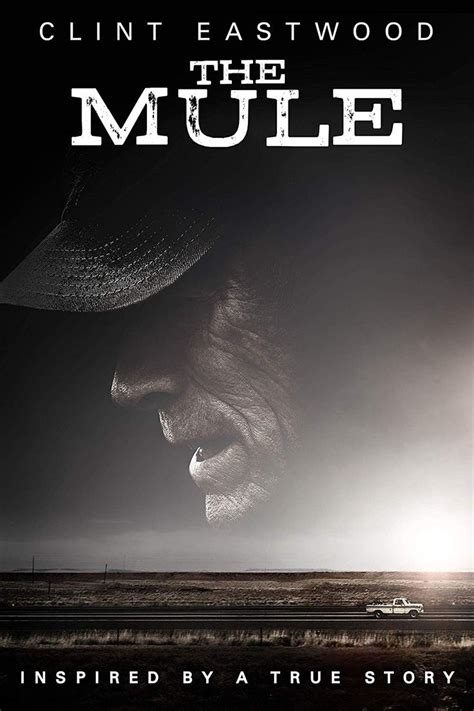 where can i watch the movie the mule