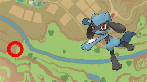 where can you find riolu