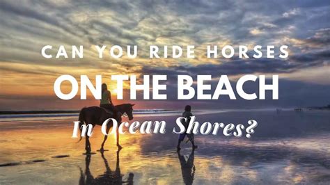 where can you ride horses in the ocean