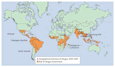 where did dengue originated