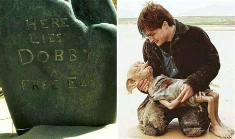 where did dobby die in harry potter