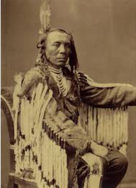 where did the crow tribe originate from