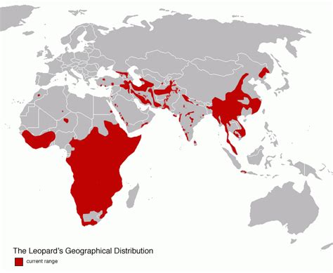 where do leopards live in africa