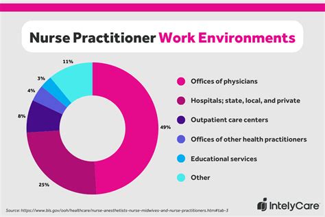 Nurse Practitioners Work Settings
