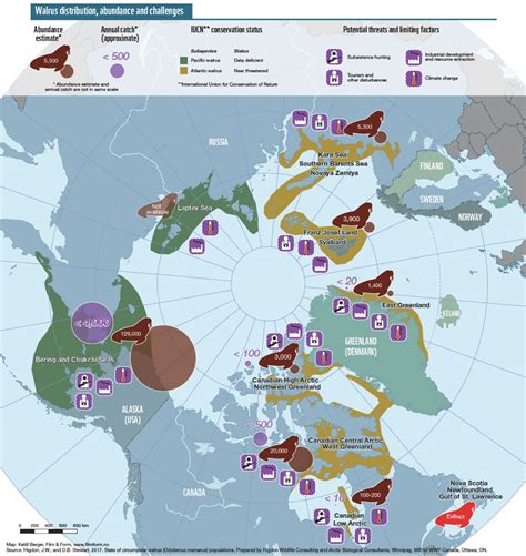 where do walrus live map