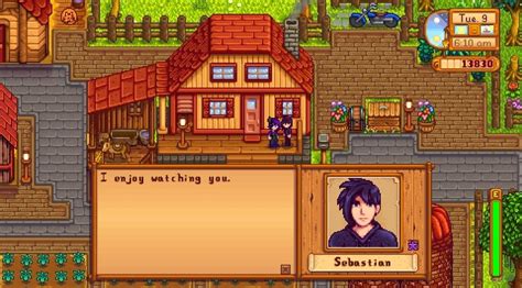 where do you find sebastian in stardew valley
