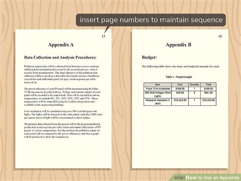 where does an appendix go in a document