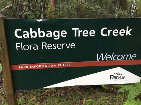 Where Does Cabbage Tree Creek Start And End
