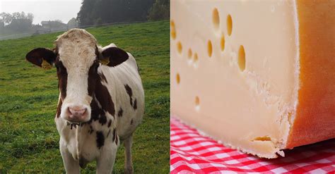where does emmental come from