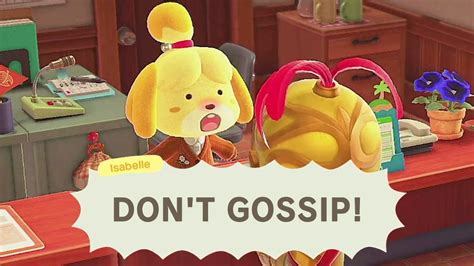 where does isabelle come from