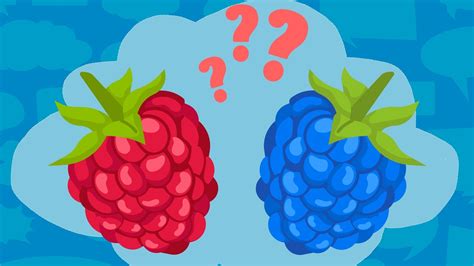 where does natural blue raspberry flavoring come from