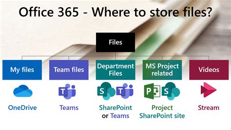 where does office 365 store files