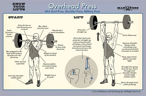 Where Does Overhead Press Work