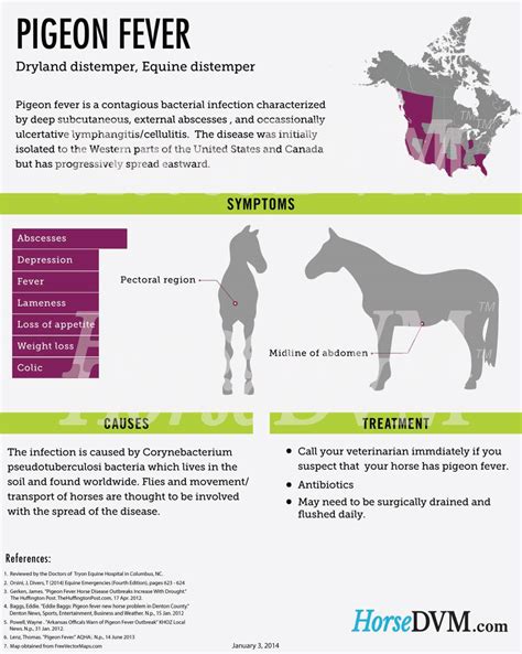 Where Does Pigeon Fever Come From