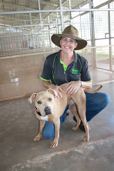 where is alice springs animal shelter located