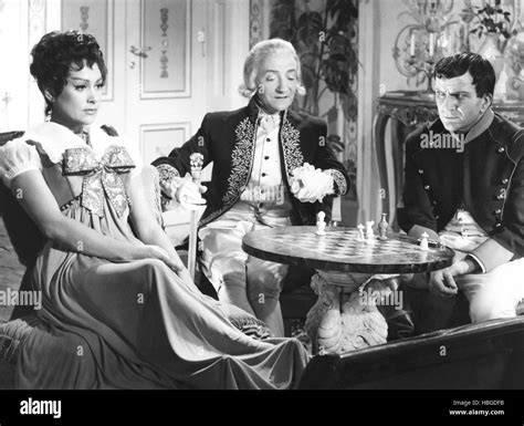 Where Is Austerlitz Succession