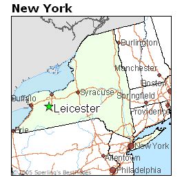 where is leicester ny located