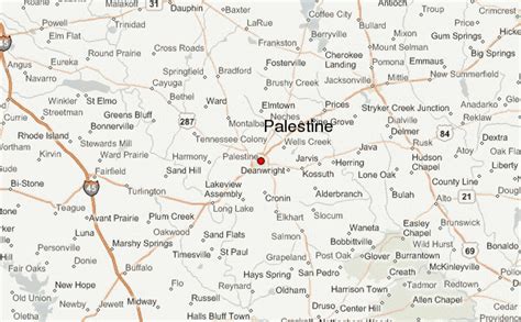where is palestine texas located