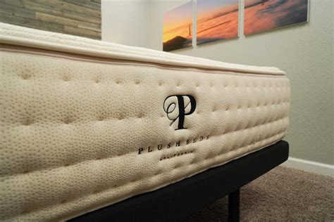 Where Is Plushbeds Located