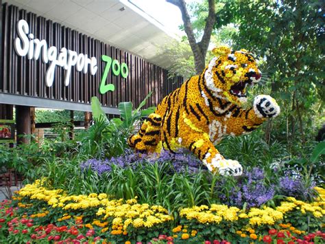 where is singapore zoo