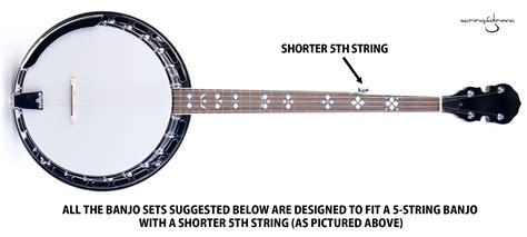 Where Is The Banjo String