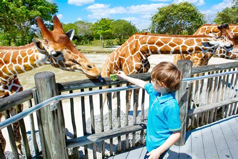 where is the best zoo in the united states