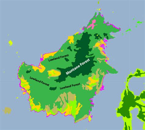 where is the borneo rainforest located