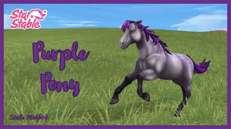 where is the purple pony in star stable
