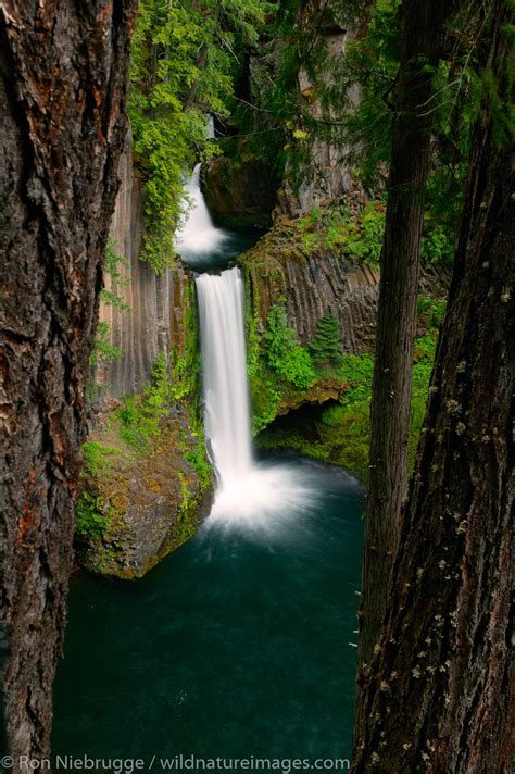 where is toketee falls in oregon