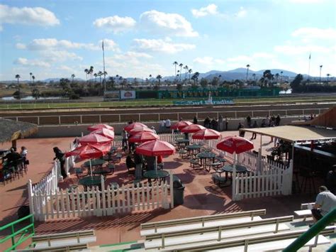 where is turf paradise race track