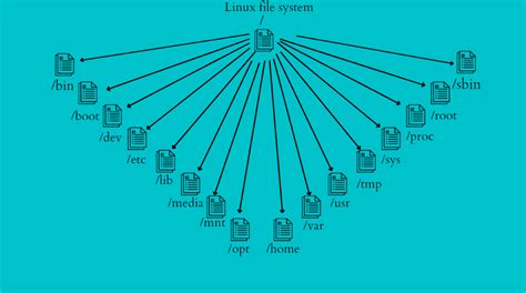 Where Is Usr/Bin In Linux