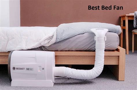 where to buy a bed fan