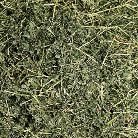 where to buy alfalfa hay near me