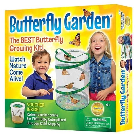 where to buy butterfly kits