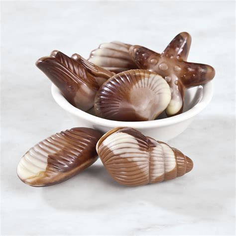 where to buy chocolate seashells