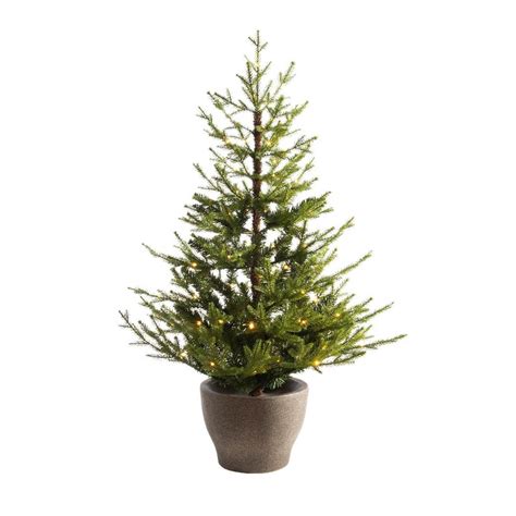 where to buy christmas tree in oslo