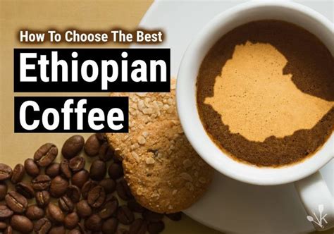 home.furnitureanddecorny.com:where to buy ethiopian coffee beans in toronto
