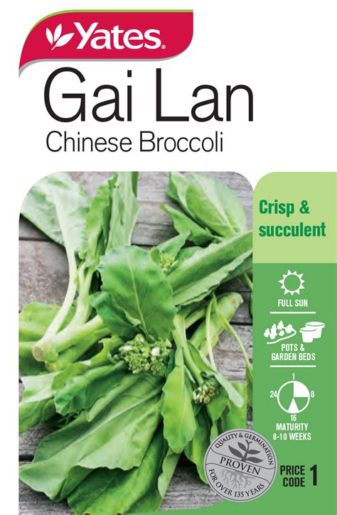 where to buy gai lan