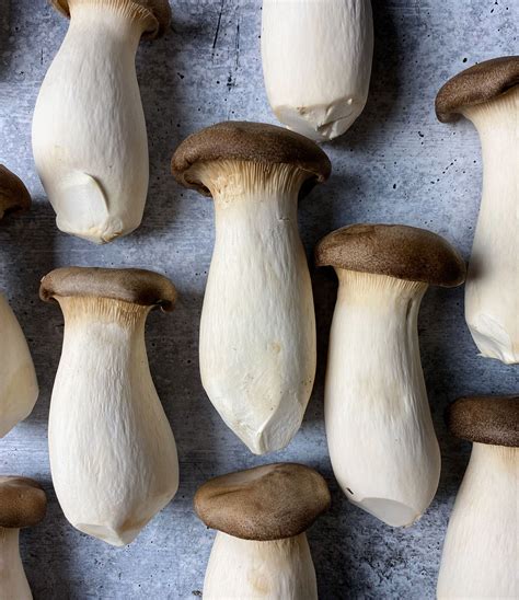 where to buy king oyster mushroom