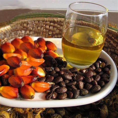 where to buy palm kernel oil