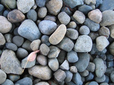 where to buy river rocks in bulk