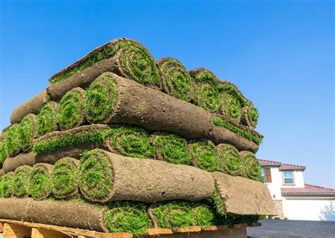where to buy sod near me delivery